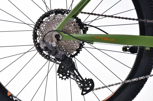 C PRO MTB AL-PHA 9.7 29" | zöld férfi mountainbike 15,5"
