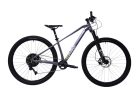 C PRO MTB AL-PHA 9.6 29" | szürke férfi mountainbike 17"