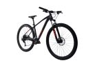 C PRO MTB AL-PHA 9.5 29" | fekete férfi mountainbike 19"