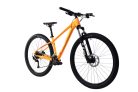 C PRO MTB AL-PHA 9.4 29" | sárga férfi mountainbike 17"