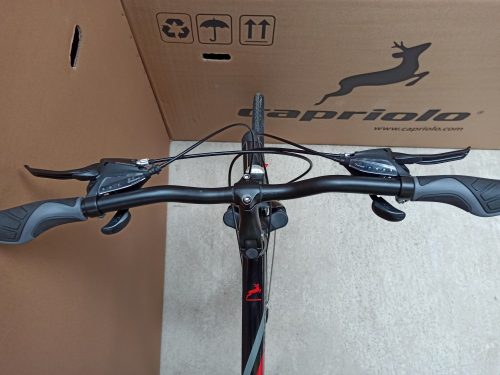 Capriolo Roadster Man 1.0 férfi trekking kerékpár 22" Grafit-Kék
